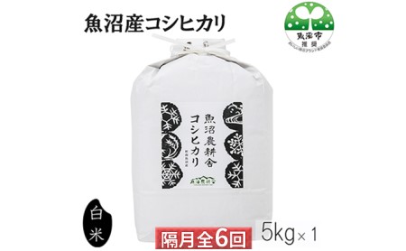 定期便 隔月 全6回 お届け 魚沼産 コシヒカリ 精米 5kg 米 お米 こめ コメ おこめ 白米 こしひかり 6ヶ月 30kg お楽しみ