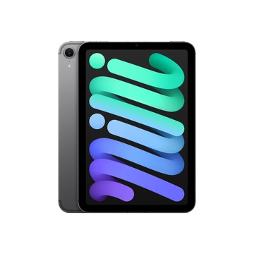 Apple iPad mini Wi‑Fi + 行動網路機型 256GB - 太空灰色