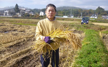 《令和5年産 新米》 無洗米 つや姫 6kg （2kg×3袋）×3回 計18kg 2023年産 ブランド米 農家直送 [005R5-025]