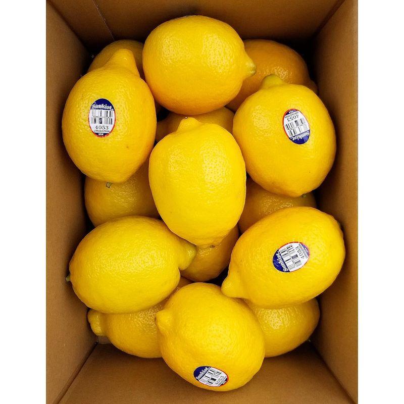 レモン カリフォルニア産 約2.5? 15個-16個 化粧箱 翌日お届け Lemon