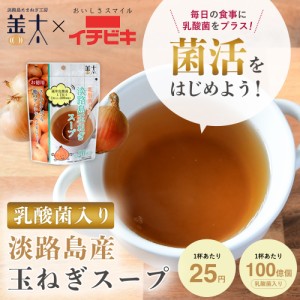 乳酸菌入り 淡路島玉ねぎスープ2袋セット●1000円送料無料