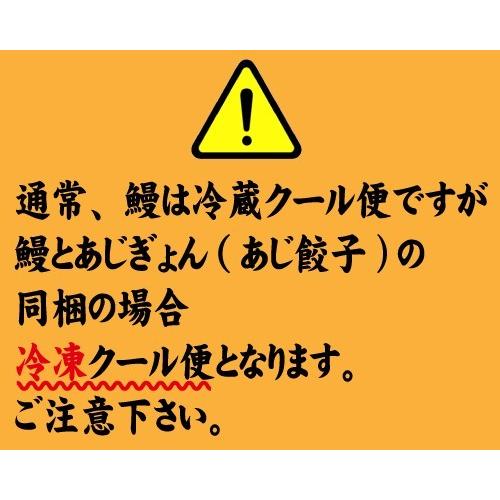 蒲焼・鯵餃子の２種類　蒲焼２尾・あじぎょん１５個　送料無料　国産うなぎ　手焼き　冷凍クール便