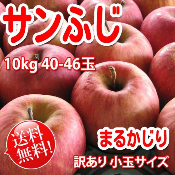 まるかじり サンふじ 訳あり小玉 約10kg 36〜48玉 送料無料 リンゴ