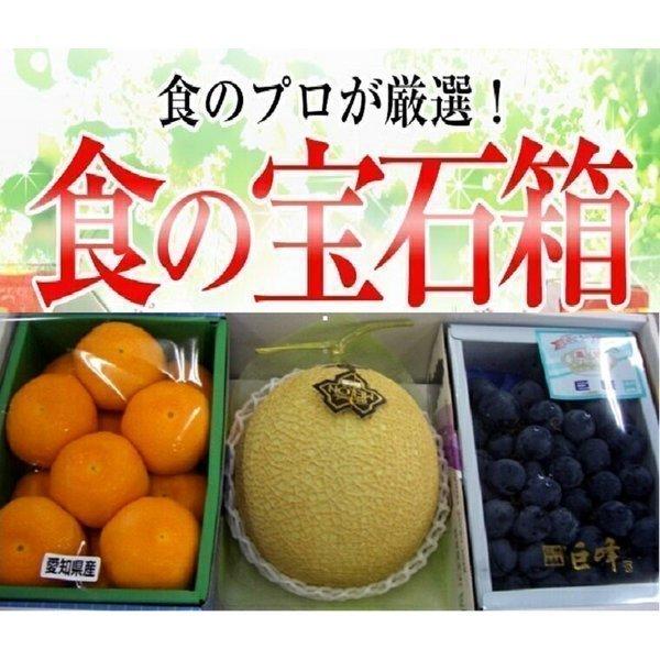 果物ギフト 食の宝石箱 フルーツセット ３商品セット 御歳暮