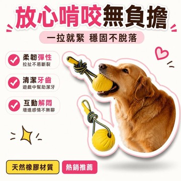 🌟熱銷🔔訓狗球專用球馬犬大型犬回彈球帶訓練專業磨牙球狗狗耐咬