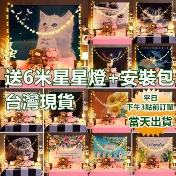 【隔日到貨 現貨】北歐風掛布(送6米燈串+掛勾) 掛毯 背景布 裝飾布裝飾掛布 寶來小舖