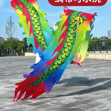 健身龍帶鋼架龍頭廣場舞健身彩帶龍甩繩全套舞龍耍龍中老年人甩龍