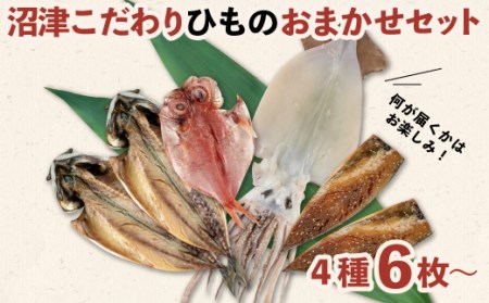 干物 魚 おまかせ こだわり 4種 6枚 大容量 セット 沼津 送料無料 