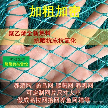 🐒【結實防鳥】漁網網片養殖網加粗隔斷擡網聚乙烯養鷄圍欄網果園防鳥網大魚漁網🔥509🔥 1AQT