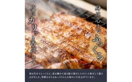 名店の味 国産鰻 宮崎県産うなぎ蒲焼 5尾(ウナギ650g以上) 《うなぎ・蒲焼きのたれ・粉山椒 セット》