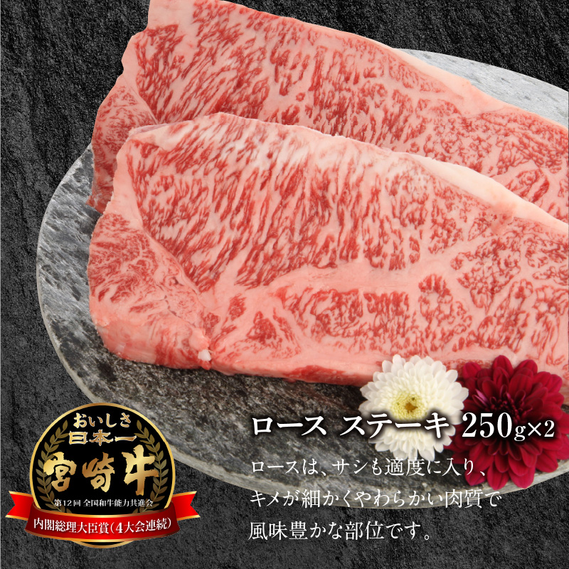 宮崎牛 ロース ステーキ 250g×2 計500g　N0147-ZB117