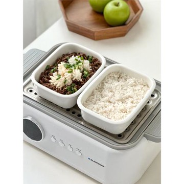 陶瓷烤盤帶瀝油網ins烤箱蒸鍋蒸盤焗飯盤子空氣炸鍋家用蒸菜盤