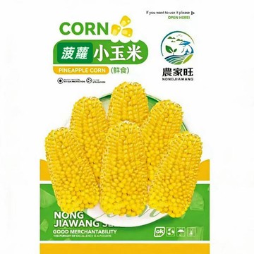 台灣現貨 原裝菠蘿小玉米種子 盆栽觀賞可食用 非基因改造 自栽農作 家庭菜園 陽台種植 四季可播 易發芽
