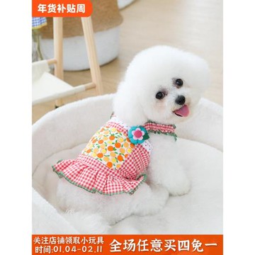 夏季薄款寵物吊帶小狗狗連衣裙貓咪小型犬花朵衣服比熊博美公主裙