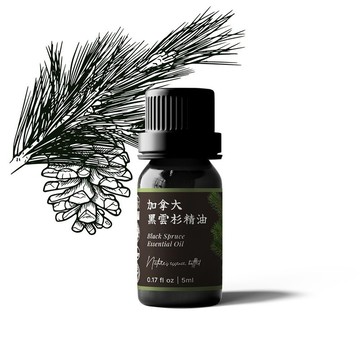 加拿大黑雲杉精油 Black Spruce Essential Oil (Canada)