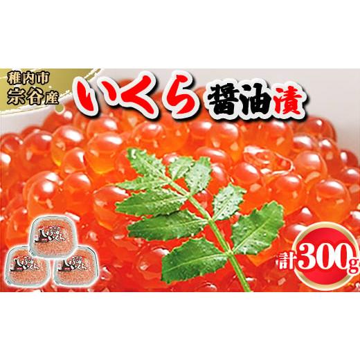 ふるさと納税 北海道 稚内市 ＜ 北海道 稚内市 宗谷産 ＞ いくら 醤油漬 100g × 3個 イクラ いくら醤油漬け 鮭いくら 鮭イクラ 鮭 秋鮭 魚卵 魚 魚介 小分…