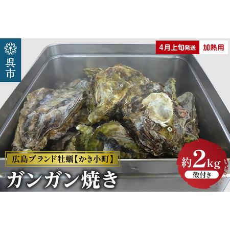 ふるさと納税 丸十水産 広島ブランド牡蠣 かき小町 ガンガン焼き 約2kg (10〜14個) 加熱用 広島県呉市