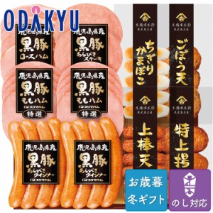 お歳暮 送料無料 2023 ハム さつま揚げ 鹿児島県産黒豚ハムとさつま揚げセット※沖縄・離島へは届不可