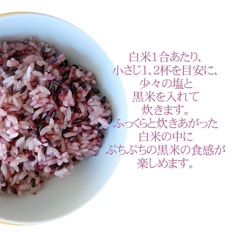 山形県小国町産 おぐにの古代米[黒米 160g×2袋 L2]  送料無料 メール便 ゆうパケ 即送