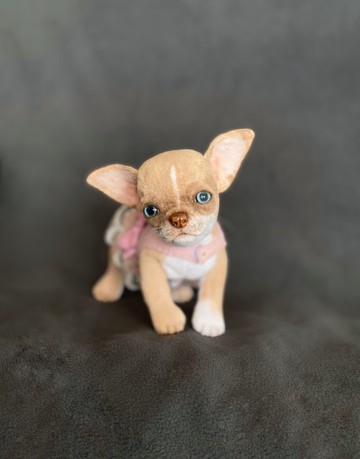 吉娃娃小狗现实玩具