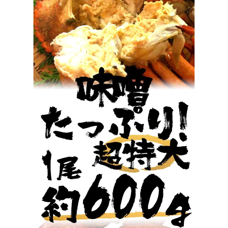 ボイル ストーンクラブ 4尾 約2.5kg 約600g×4 特大 希少 姿身 ストーンクラブ