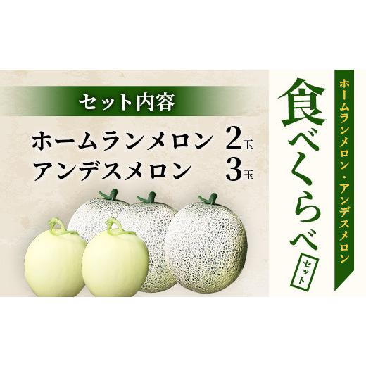 ふるさと納税 熊本県 多良木町 熊本県産 ホームランメロン アンデスメロン 食べ比べ 計5玉 約5kg【 令和6年 先行 御予…