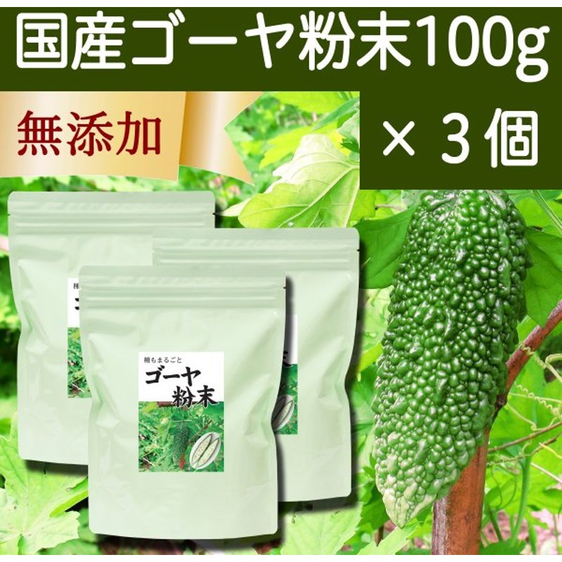 1023円 【期間限定お試し価格】 自然健康社 まいたけ粉末 100g パウダー 舞茸