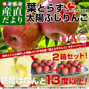 青森県より産地直送 JAつがる弘前 葉とらず太陽ふじりんご 糖度13度以上 約3キロ×2箱（9玉から13玉×2箱） 送料無料 林檎 サンフジ 津軽