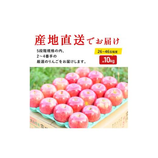 ふるさと納税 青森県 弘前市 （13度糖度保証）訳あり家庭用葉とらずサンふじ約10kg