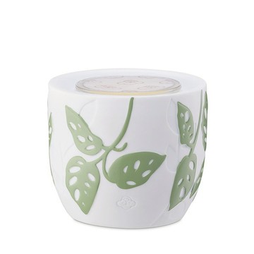 【SERENE HOUSE】映葉香氛膠囊機(綠/粉)