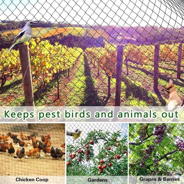 庭,フェンス,作物,鳥,鹿,犬,鶏のための大きな保護ネット