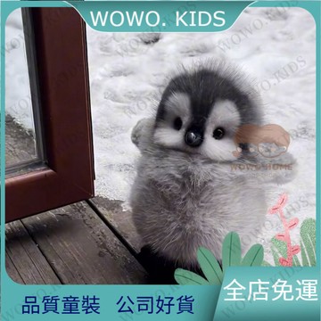 超高迴購💯娃娃 毛絨娃娃 毛綫娃娃  可愛企鵝毛絨玩具公仔玩偶軟乎乎