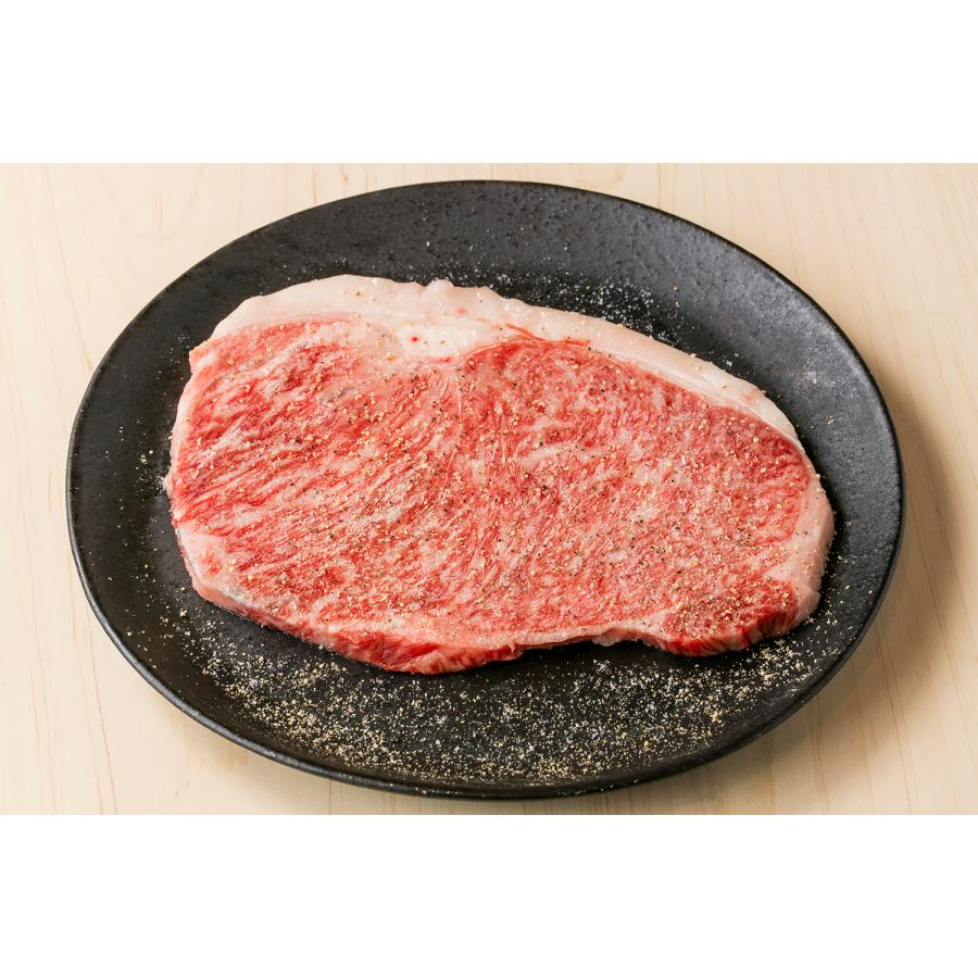 リッチ焼肉セット(510g)　KINTAN　キンタン　Kintan