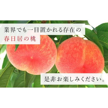 ふるさと納税 ＜2024年先行予約＞≪山梨直送≫山梨産「春日居の桃」特秀品・中玉3玉×2箱 合計1.5kg 203-002 山梨県笛吹市