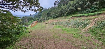 近內灣 橫山油羅段 臨路大面寬休閒農地｜新竹縣橫山鄉油羅