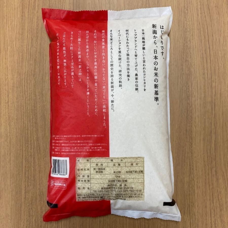 新米 米 お米 10kg 新之助 新潟米 5kg×2袋 本州送料無料 令和5年産