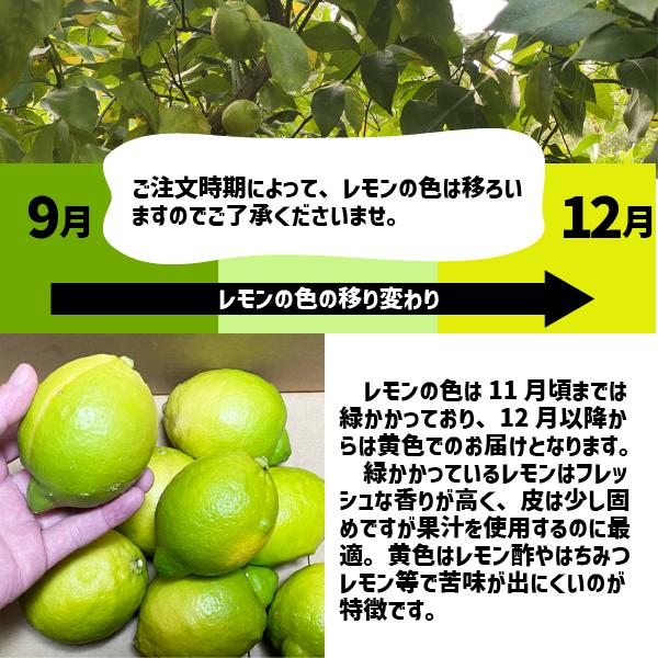 和歌山県産 減農薬 レモン 黄色 約2kg 国産レモン 無肥料 無除草剤 防腐剤・ワックス不使用 訳あり 紀の川市 数量限定