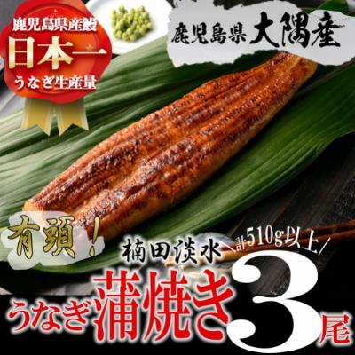 ふるさと納税 志布志市 b2-010 楠田の極うなぎ 蒲焼き 170g以上×3尾(計510g以上)