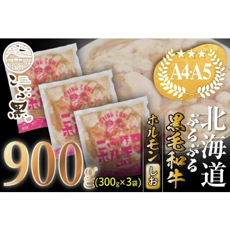 ふるさと納税 北海道産 黒毛和牛 こぶ黒 和牛 しお ホルモン 計 900g (300g×3パック) ＜LC＞ 北海道新ひだか町