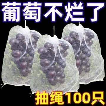 🔥臺灣出貨24H🔥自帶抽繩葡萄水果套袋防鳥防雨防蟲網袋瓜果無花果枇杷透氣專用袋hhfoof