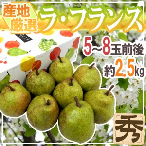 ”ラ・フランス” 秀品 5～8玉前後 約2.5kg 化粧箱 産地厳選 洋梨 ラフランス 送料無料