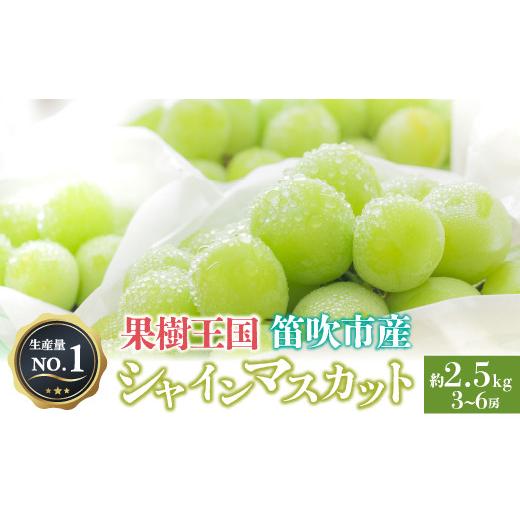 ふるさと納税 山梨県 笛吹市 ＜2024年先行予約＞人気 シャインマスカット 約2.5kg 3〜6房 ※沖縄県及び離島への配送はできませんので予めご了承ください。※常…