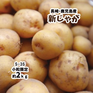 新じゃが じゃがいも 長崎県 鹿児島県 芋 いも 約2ｋｇ 送料無料 S-3S 小粒 男爵 とうや とよしろ他