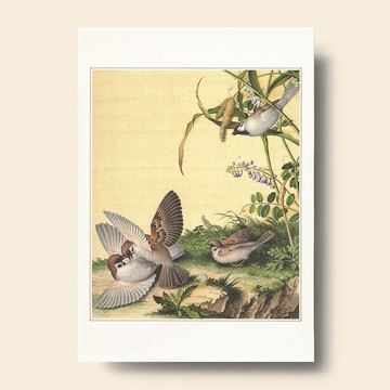 【藝術畫卡】仙萼長春 豆花稷穗 | B4畫卡