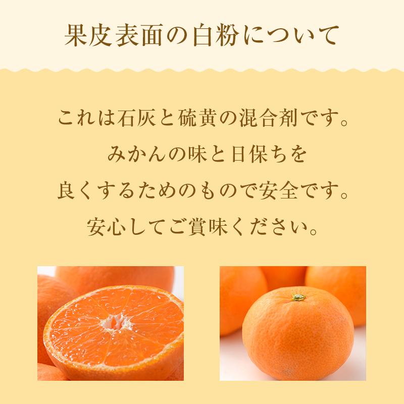 ご予約商品 田村みかん 大玉 10kg 2L〜3L ミカン 蜜柑 数量限定 和歌山県産 湯浅町田村 北海道は送料1000円 沖縄・離島は発送不可