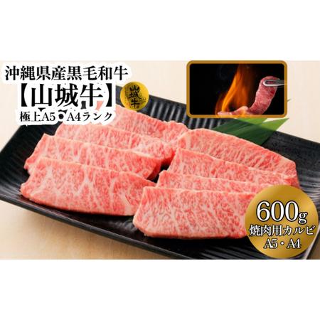 ふるさと納税 A5・A4ランク　沖縄県産黒毛和牛《山城牛》焼肉用カルビ600g 沖縄県うるま市