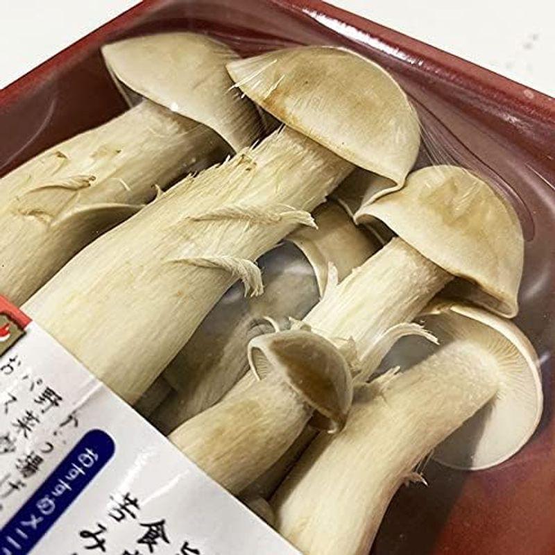 京都府産 京丹波 大粒丹波しめじ（ハタケシメジ） 1パック(100g)×20入り箱