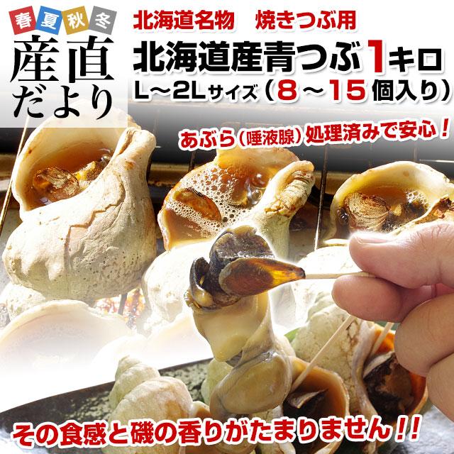 北海道から直送 北海道産 青つぶ 焼きつぶ用（あぶら処理済み・ボイル）Lから2Lサイズ　約1キロ（8から15個入り） 送料無料