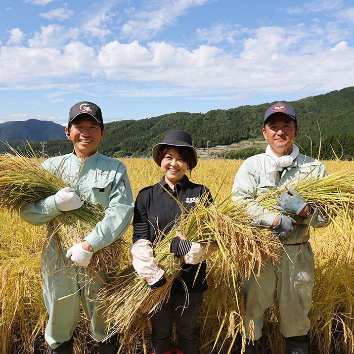 新米 令和5年産 銀の朏 3kg 日本一美味しいお米 数量限定 産地直送 岐阜県飛騨産 特別栽培 皇室献上米 化学肥料不使用 いのちの壱 ぎんのみかづき 三日月 ギフト