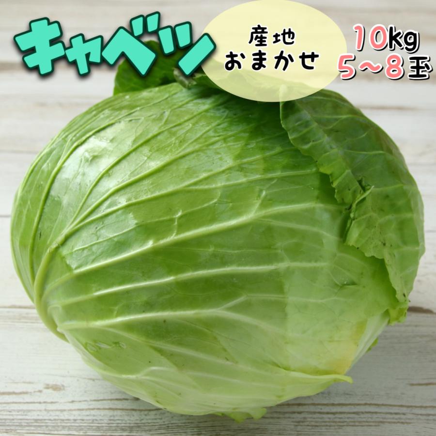 キャベツ 産地おまかせ １箱 10kg きゃべつ